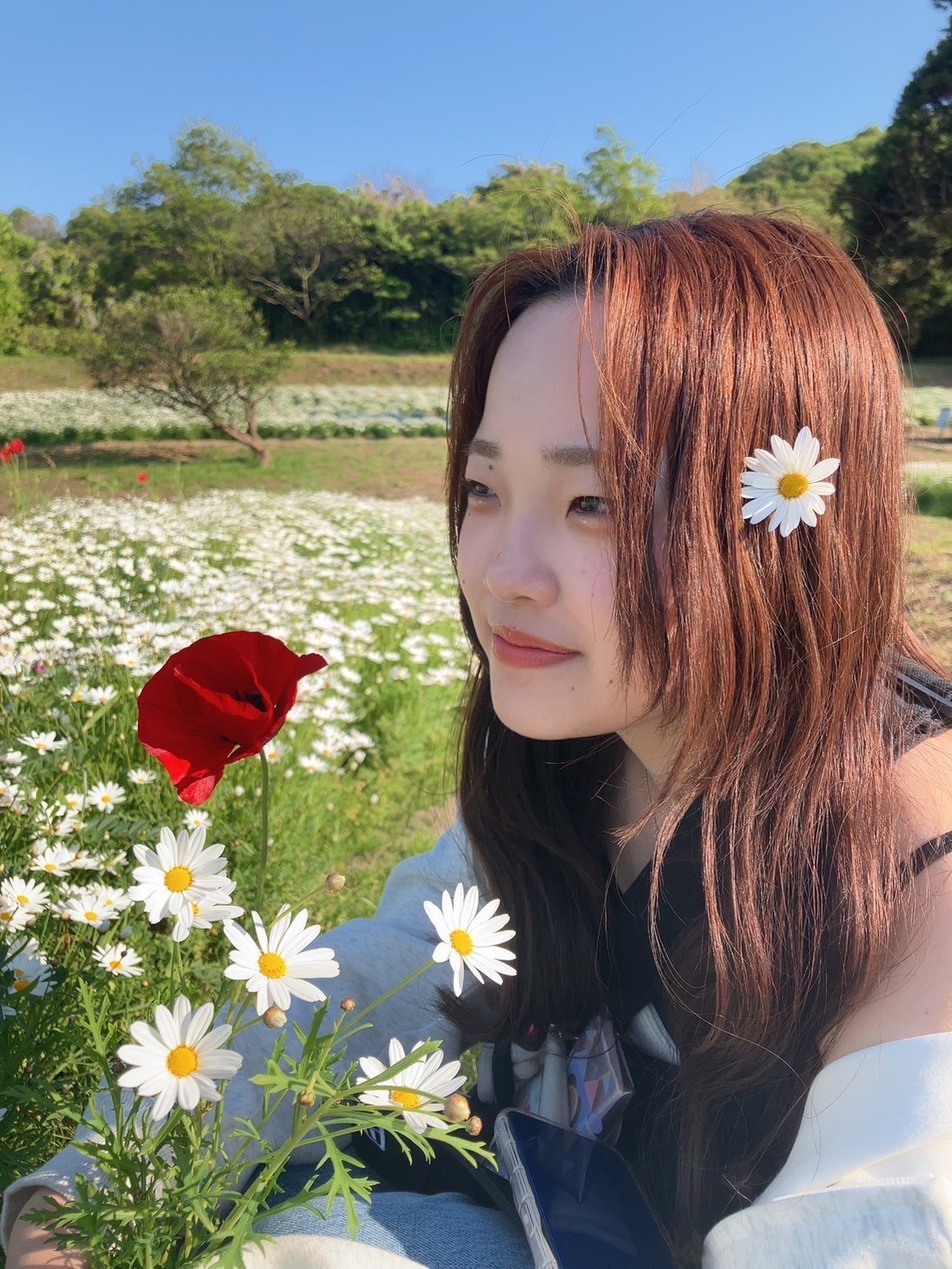 講師Bのプロフィール写真